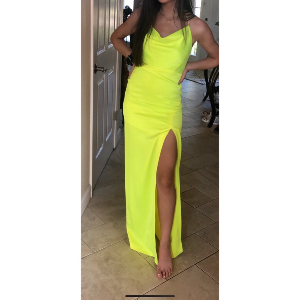 Alice and Olivia Gown